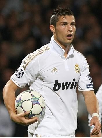 综合体育体 综合体育体